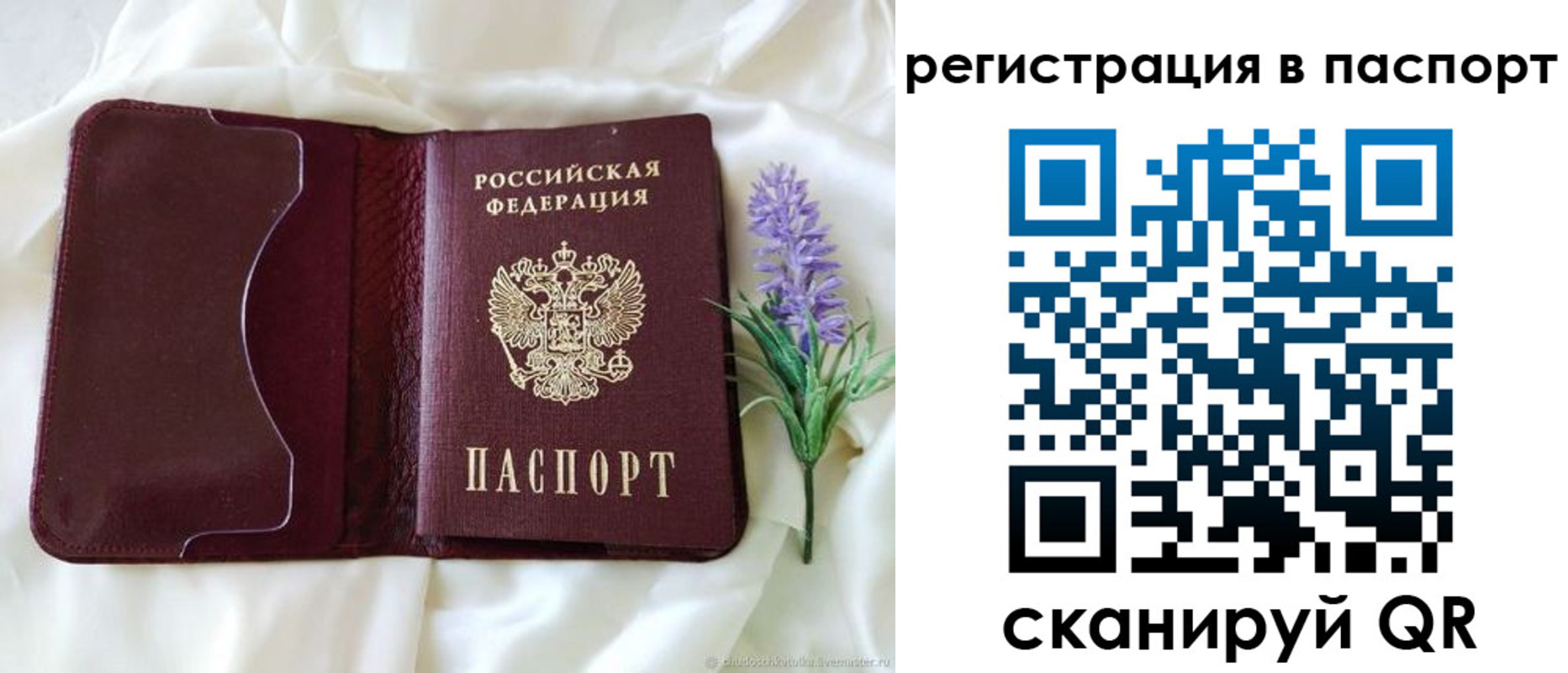 временная регистрация для всех в Камчатской области